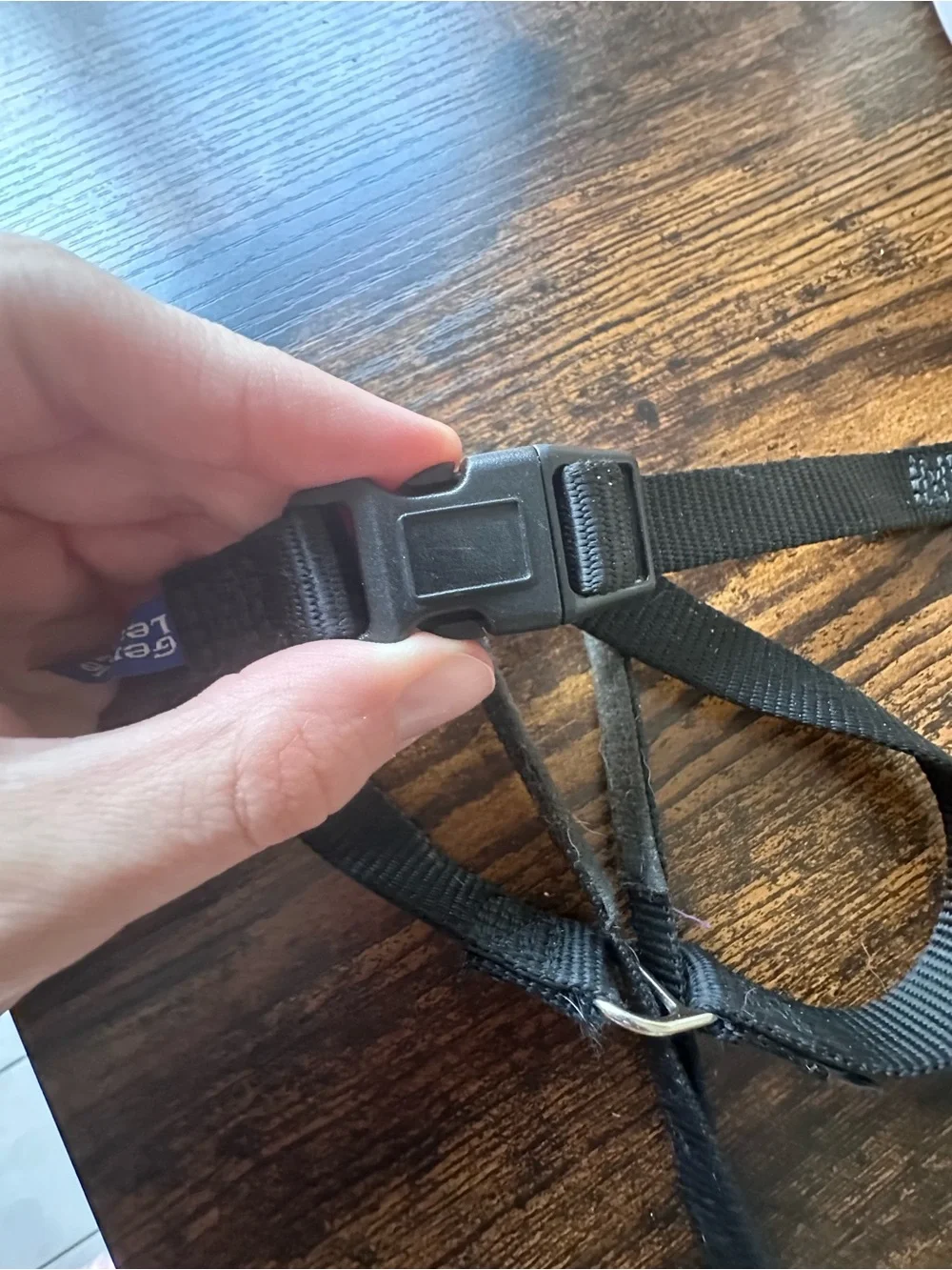 Gentle Leader Headcollar for Dogs, Size M - Black